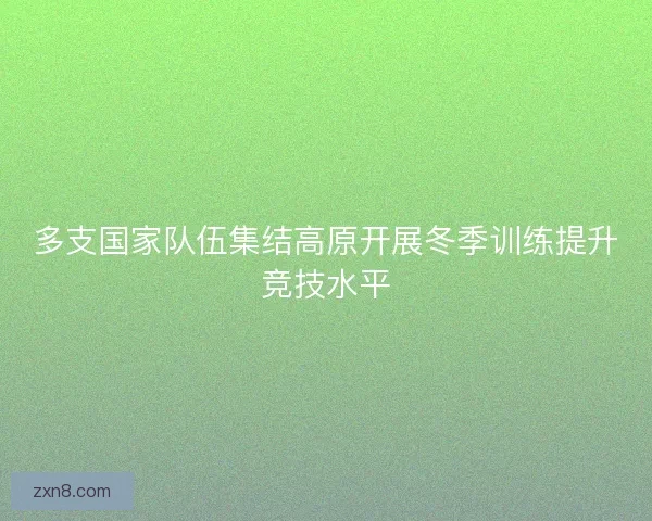 多支国家队伍集结高原开展冬季训练提升竞技水平